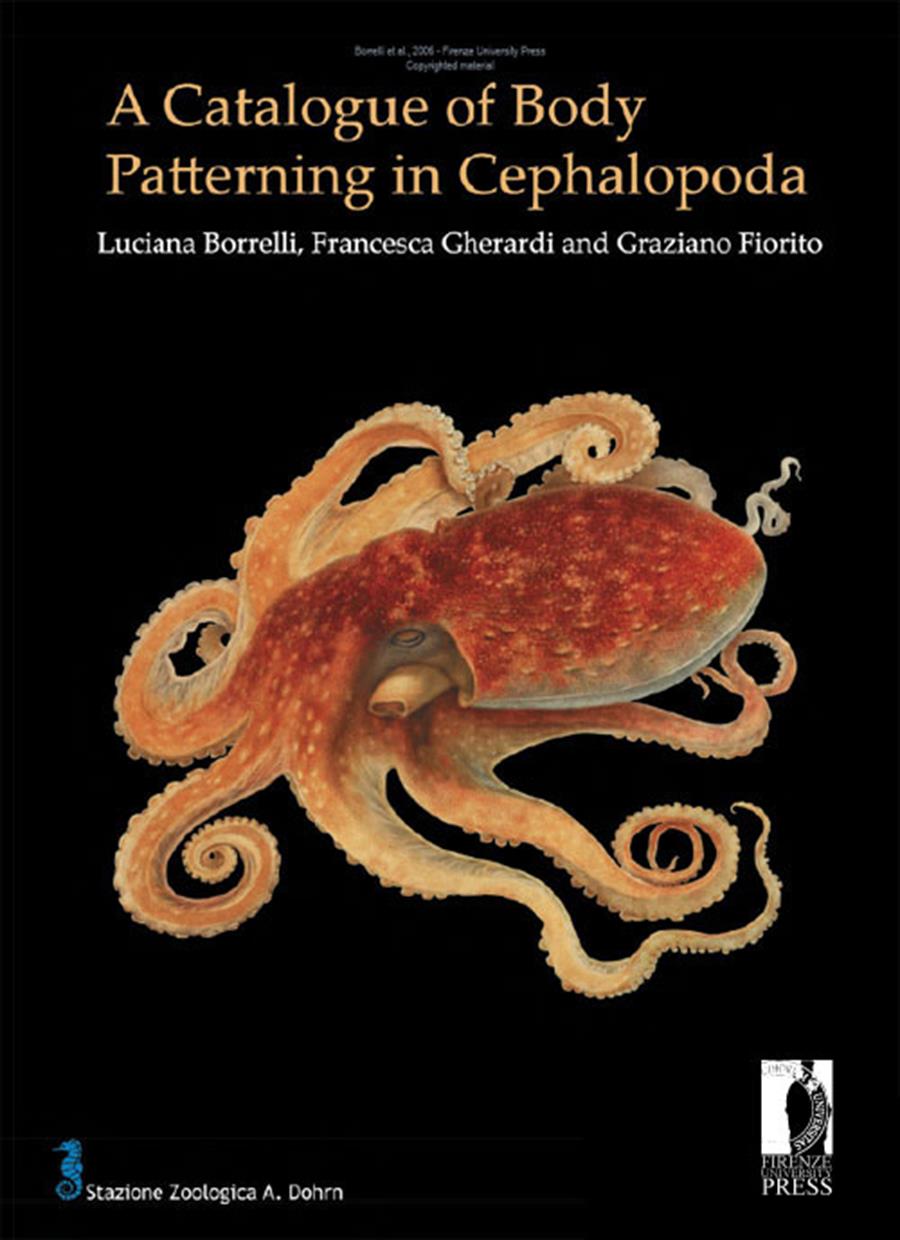 A Catalogue of Body Patterning in Cephalopoda